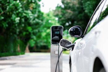 istockphoto 1462935431 612x612